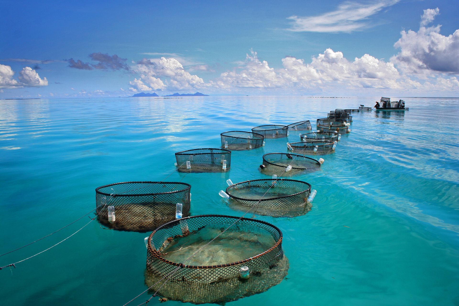 Empowering Fishing Communities